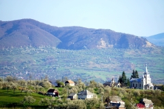 DSC00392