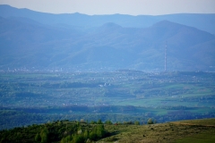 DSC00418