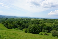 DSC01232