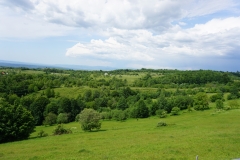 DSC01233